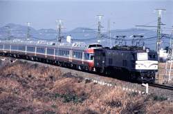 74667 B
