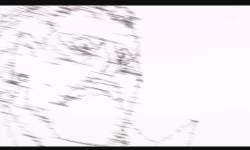 202929 B