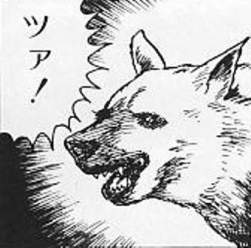 53534 B
