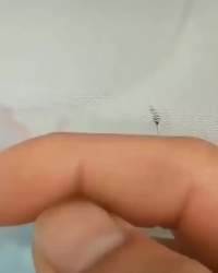 584571 B