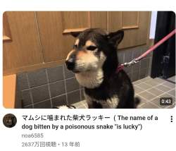 172393 B