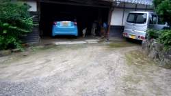 4438449 B