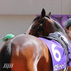 229373 B