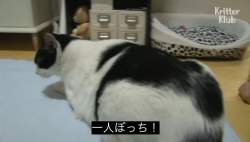 58890 B