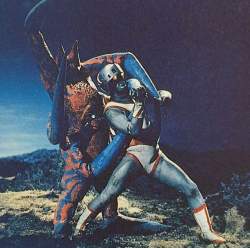 114061 B