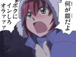 15393 B