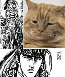 444178 B
