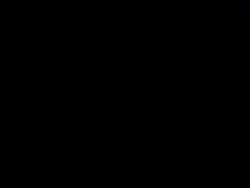 7925058 B