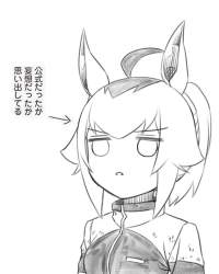 39553 B