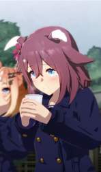 88873 B