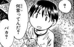 55242 B