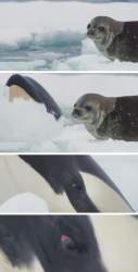 2200278 B