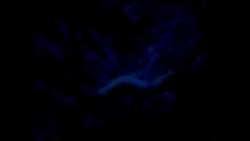 4996922 B