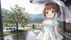 529484 B