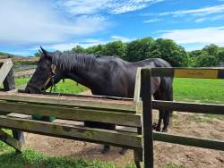 5575544 B