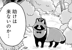 52196 B