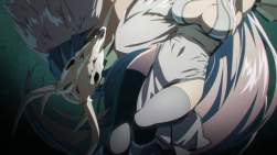 254954 B