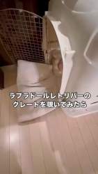 2857983 B