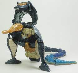 54561 B