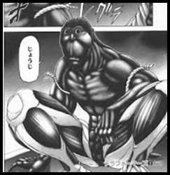 52788 B