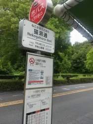 38131 B