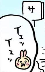 95798 B