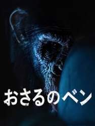 7284 B