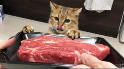 92898 B