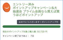 87021 B