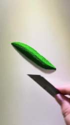 5255880 B