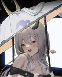 21253 B