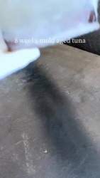 7260730 B