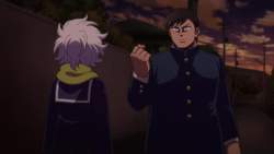 8037561 B