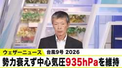 3654494 B