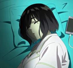 1178233 B
