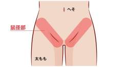 33627 B