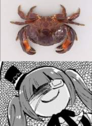 269996 B