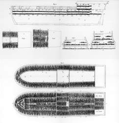 295548 B