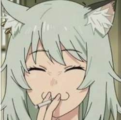 53907 B