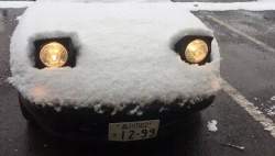 3114246 B