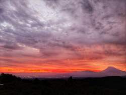 317194 B