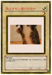 49519 B