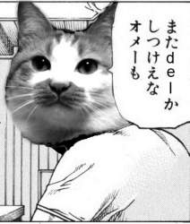 64470 B