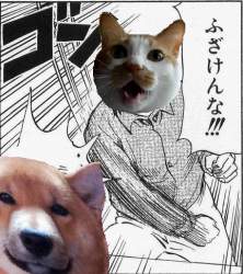 343343 B