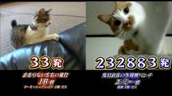 345626 B