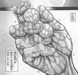 50532 B