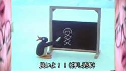 65631 B