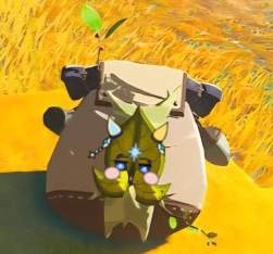 1445144 B