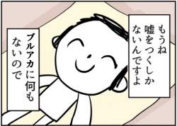 254686 B