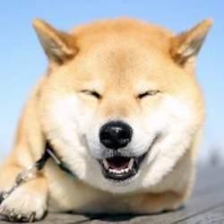 12204 B